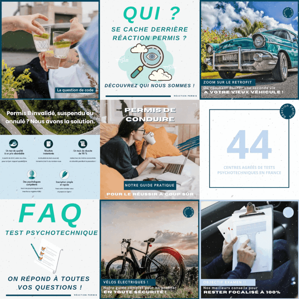 La stratégie de communication digitale de Réaction Permis réalisée par Lisa Savariello Rédaction
